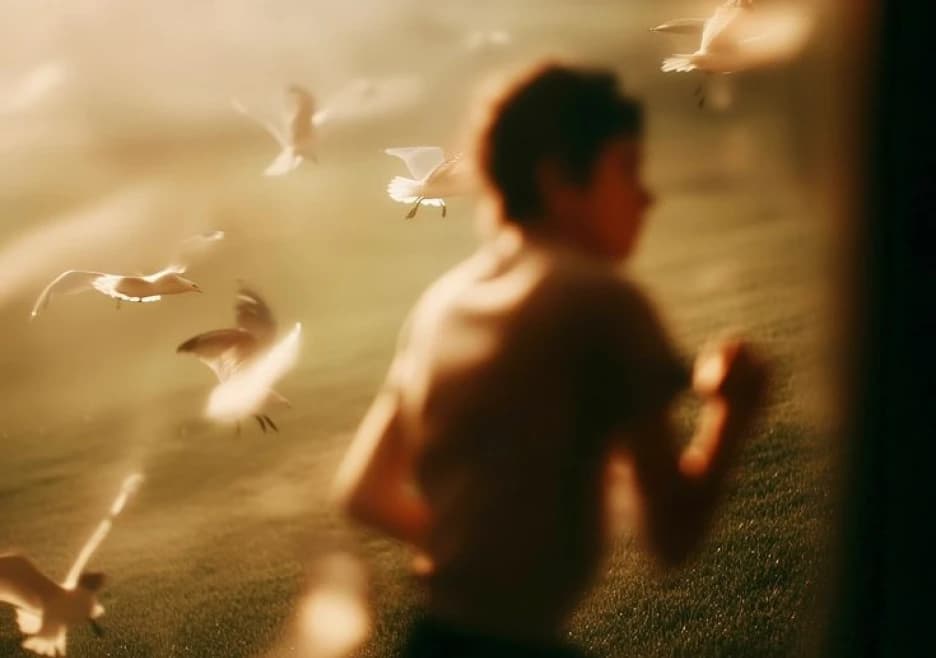 Design que valoriza o entorno